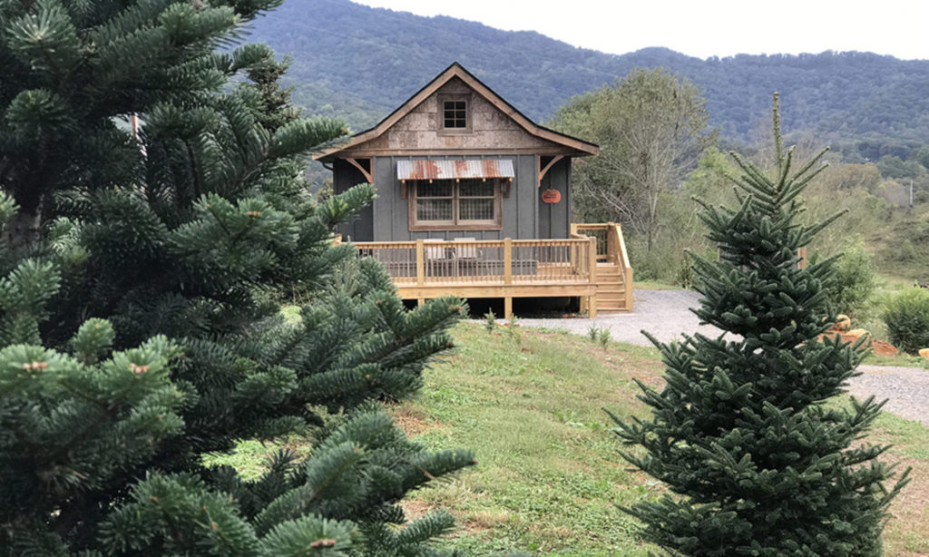 Waynesville North Carolina Christmas Tree Cabins